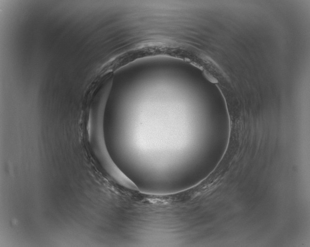 X0000075350822200609151608