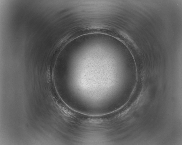 X0000075350825200609151608