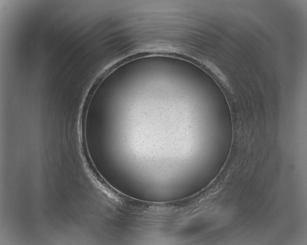 X0000075350840200609151609