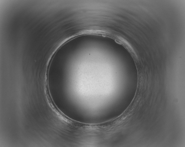 X0000075350852200609151609