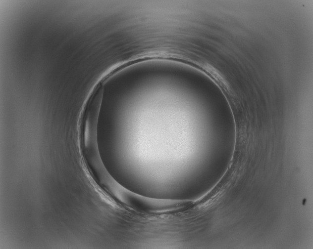 X0000075350854200609151609