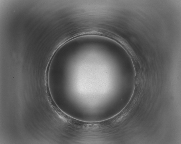X0000075350858200609151609
