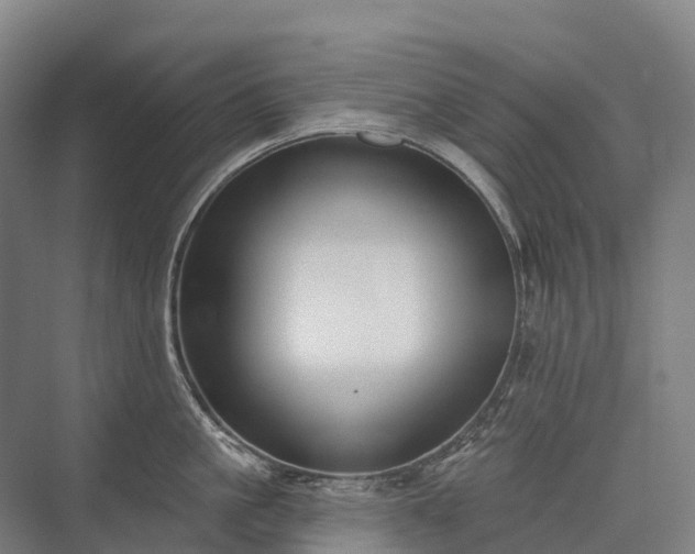 X0000075350861200609151609