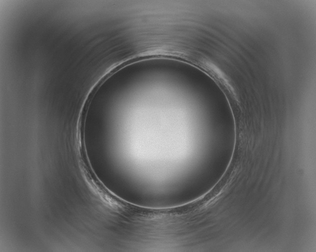 X0000075350892200609151608