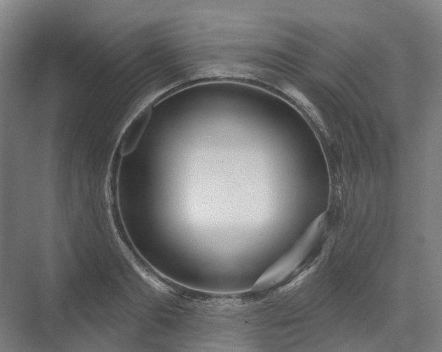 X0000075350893200609151608