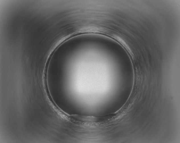 X0000075350901200609151608