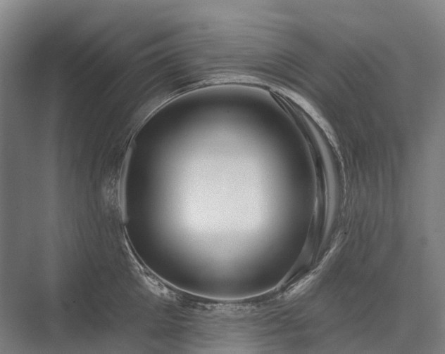 X0000075350905200609151608