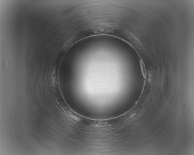 X0000075350915200609151607
