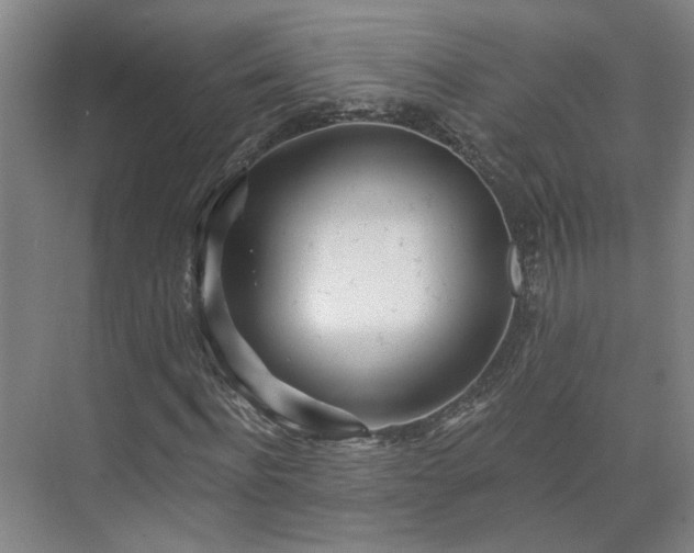 X0000075350916200609151607