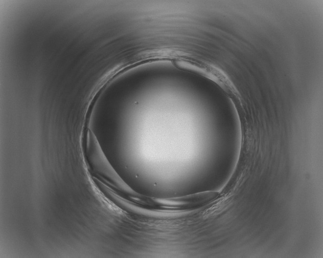 X0000075350946200609151607
