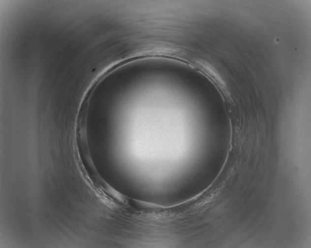 X0000075350948200609151607