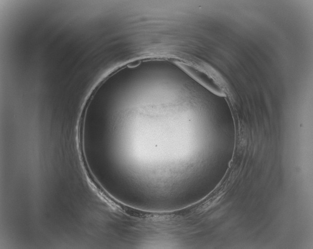 X0000075350958200609151607