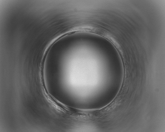 X0000075350960200609151607