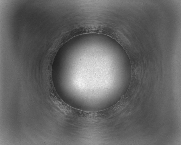 X0000075350961200609151607
