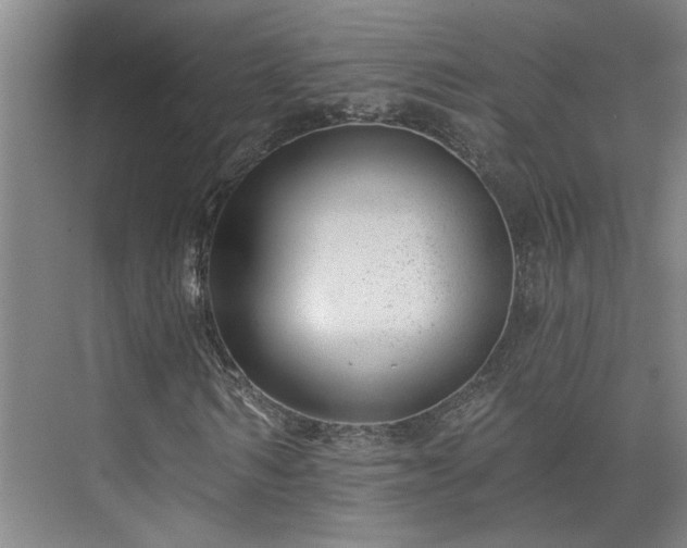 X0000075350962200609151607