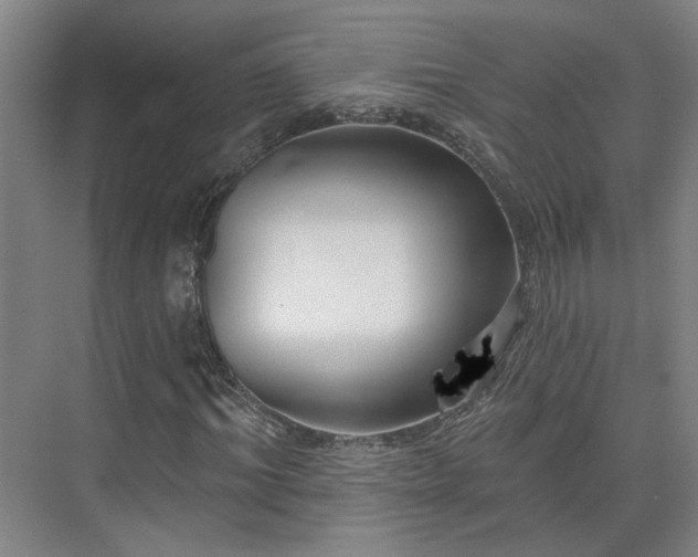 X0000075350964200609151607