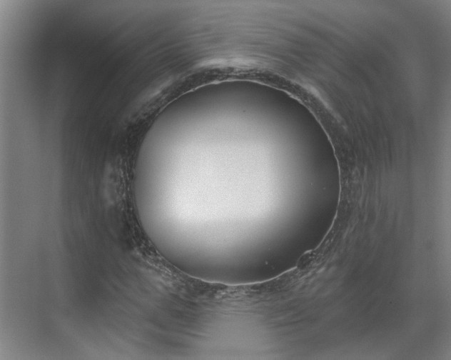 X0000075350967200609151607