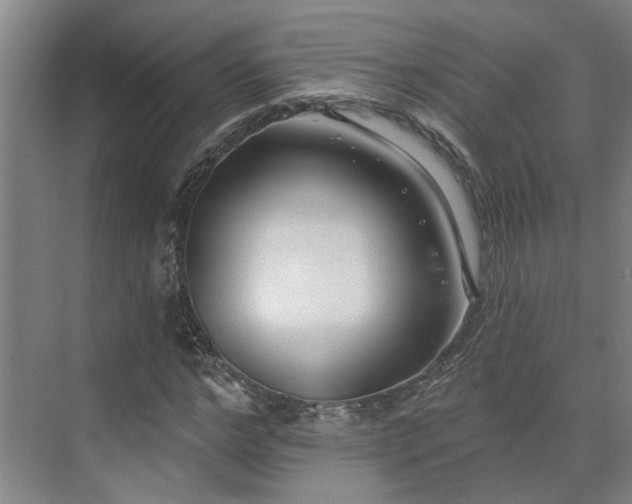 X0000075350968200609151607