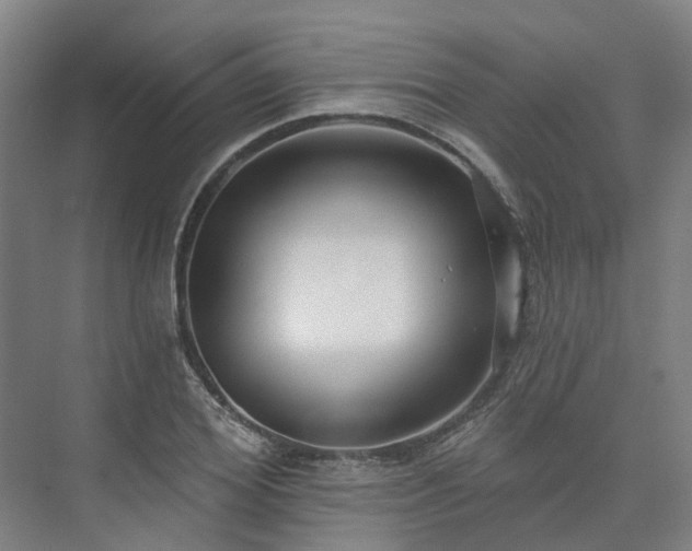 X0000075350980200609151606