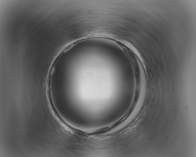 X0000075351005200609151606