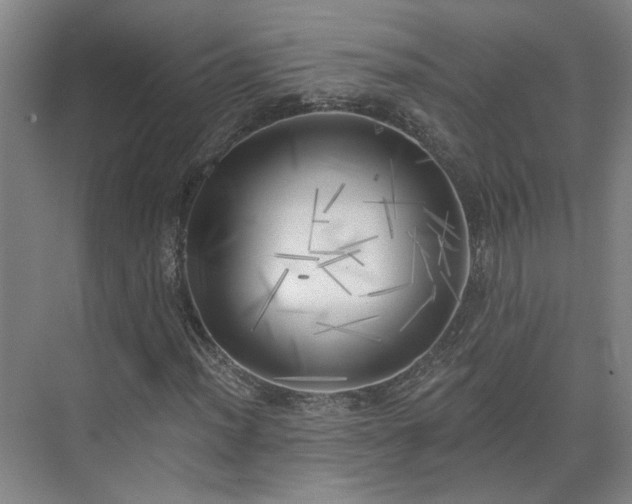 X0000075351012200609151605