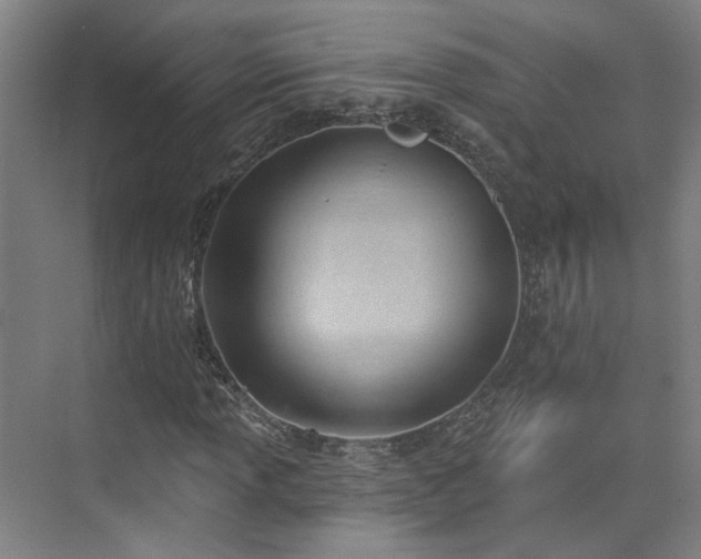X0000075351013200609151605