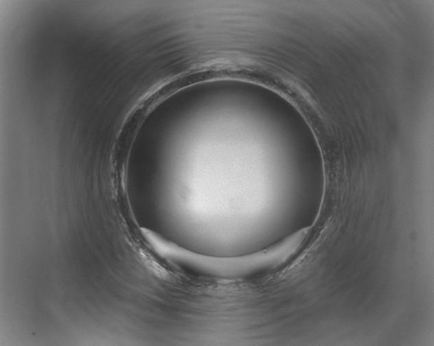 X0000075351018200609151605