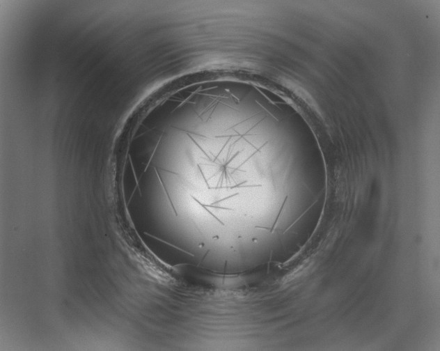 X0000075351021200609151605