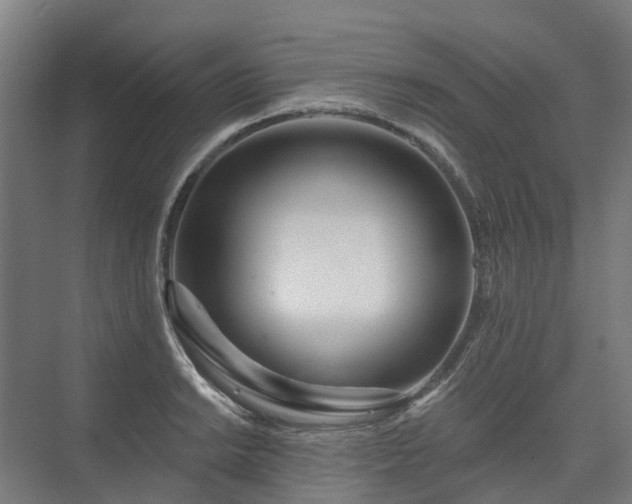 X0000075351038200609151606