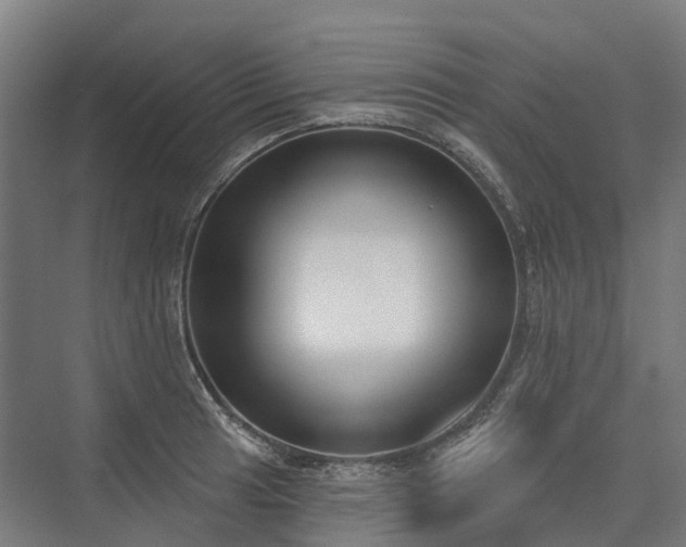 X0000075351041200609151606