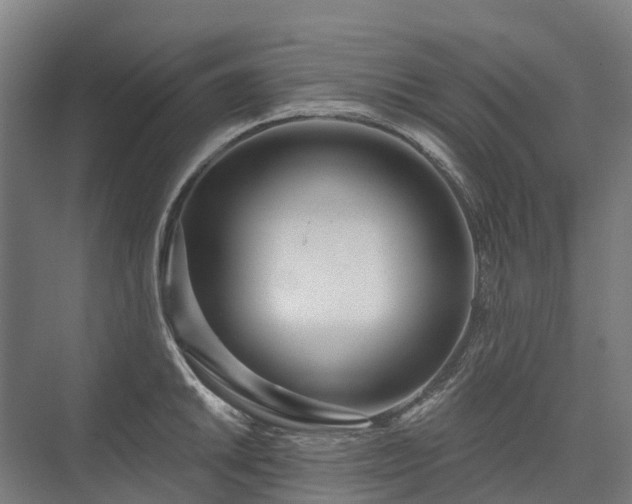 X0000075351046200609151606