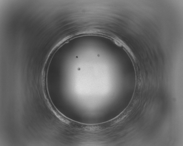 X0000075351053200609151606