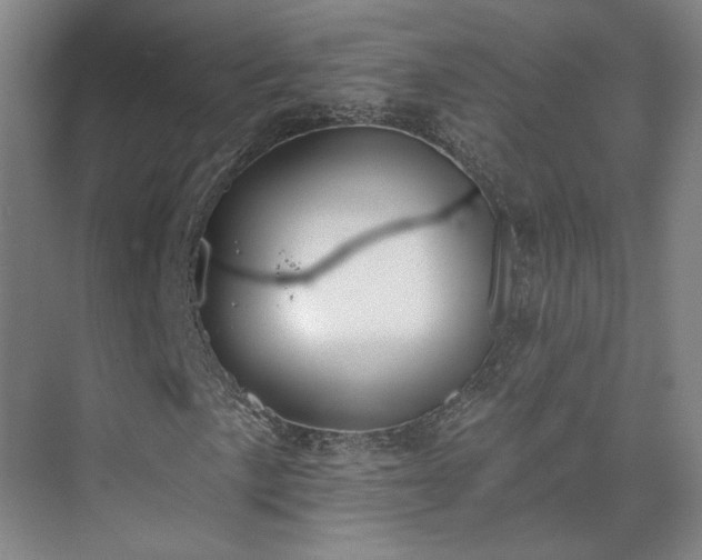 X0000075351057200609151605