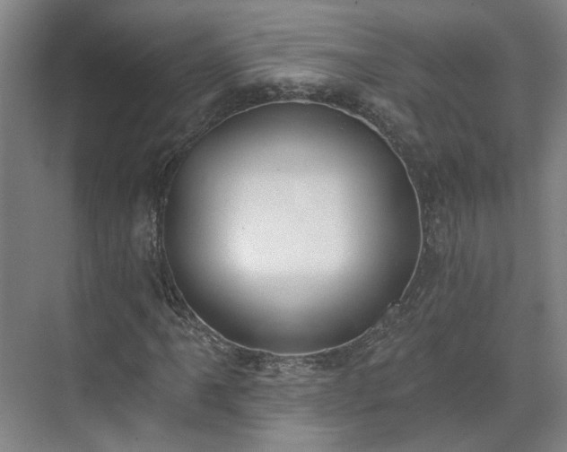 X0000075351061200609151605