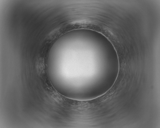 X0000075351062200609151605