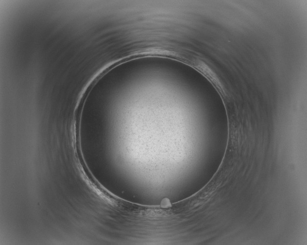 X0000075351092200609151604
