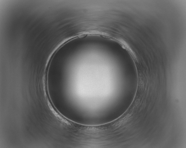 X0000075351100200609151604