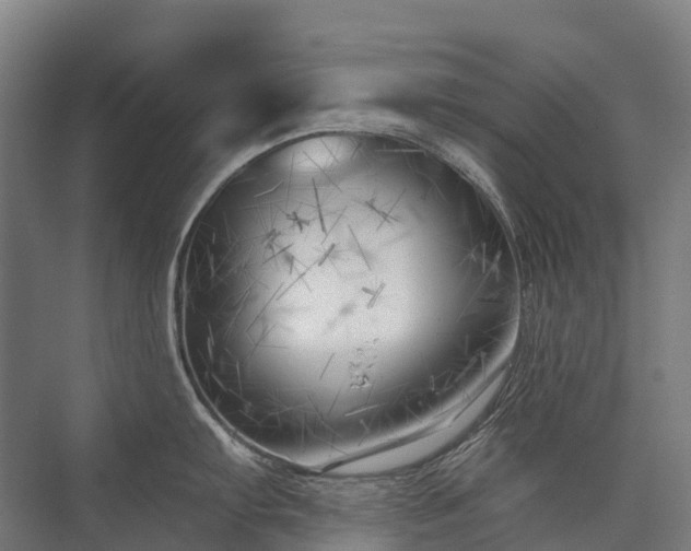 X0000075351103200609151604