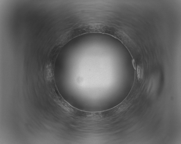 X0000075351107200609151603