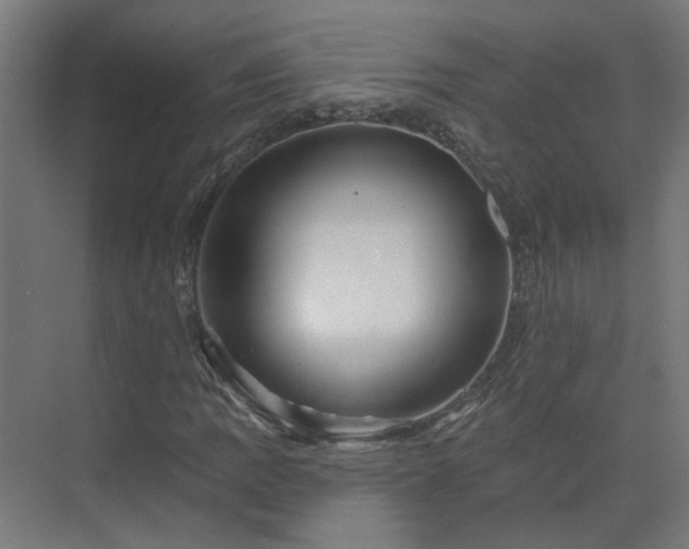 X0000075351109200609151603