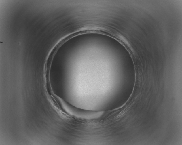 X0000075351124200609151604