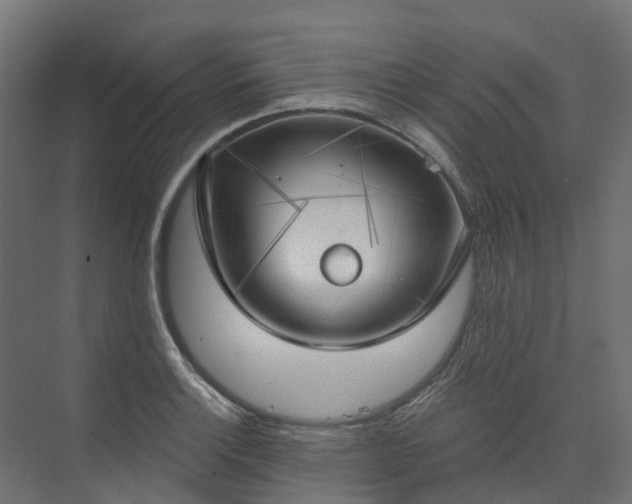 X0000075351132200609151604