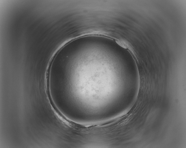 X0000075351151200609151604