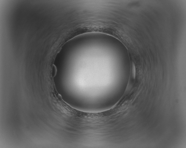 X0000075351153200609151603