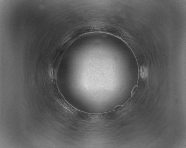 X0000075351155200609151603