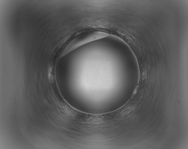 X0000075351156200609151603