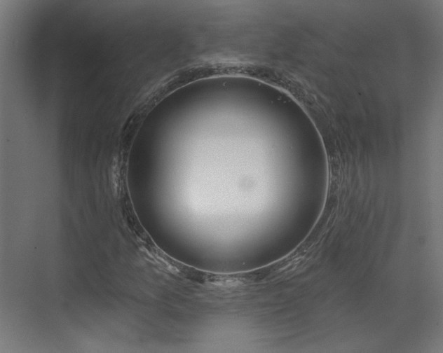 X0000075351157200609151603