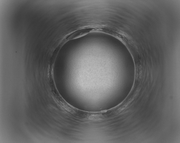 X0000075351161200609151603