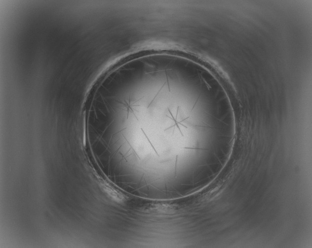 X0000075351175200609151603