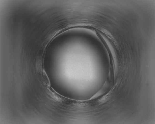 X0000075351177200609151603